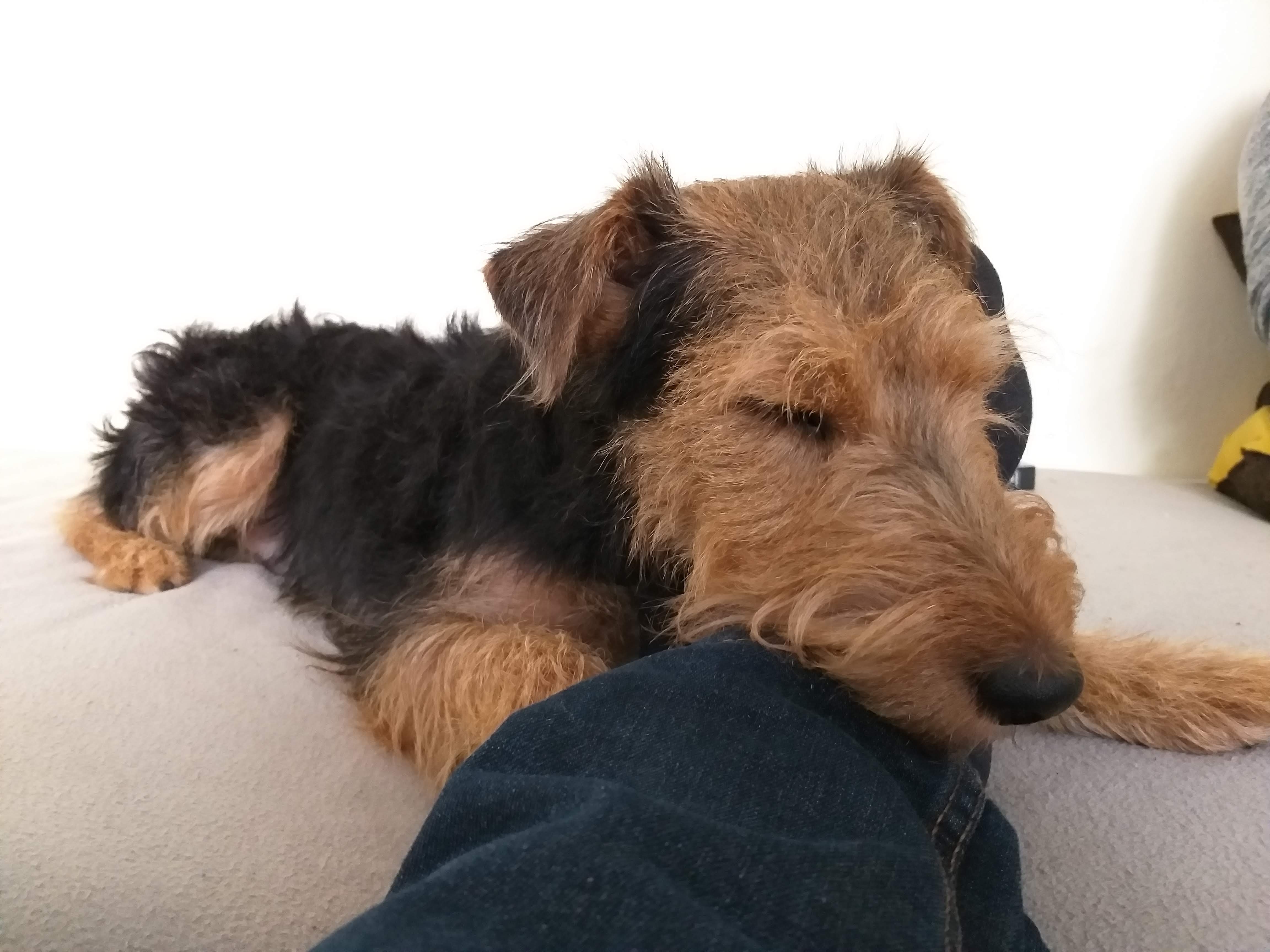 Jak przygotować ogród na sezon zimowy