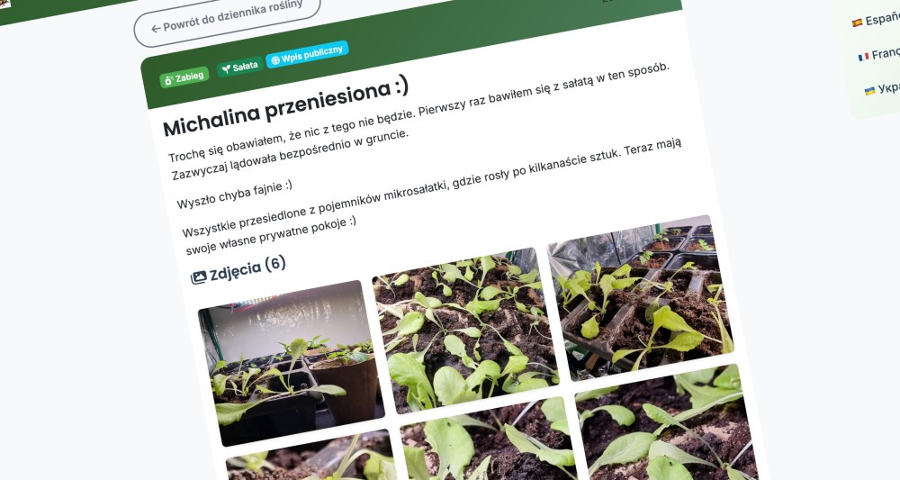 Dziennik Roślin i Sekcja Społeczności w Zielona Manufaktura