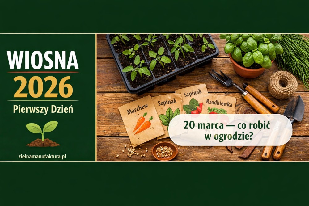 Dziś oficjalnie zaczyna się wiosna — i zaczyna się ogrodniczy wyścig z czasem