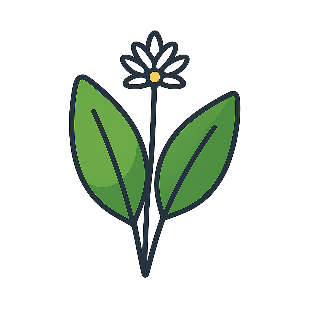 Czosnek niedźwiedzi