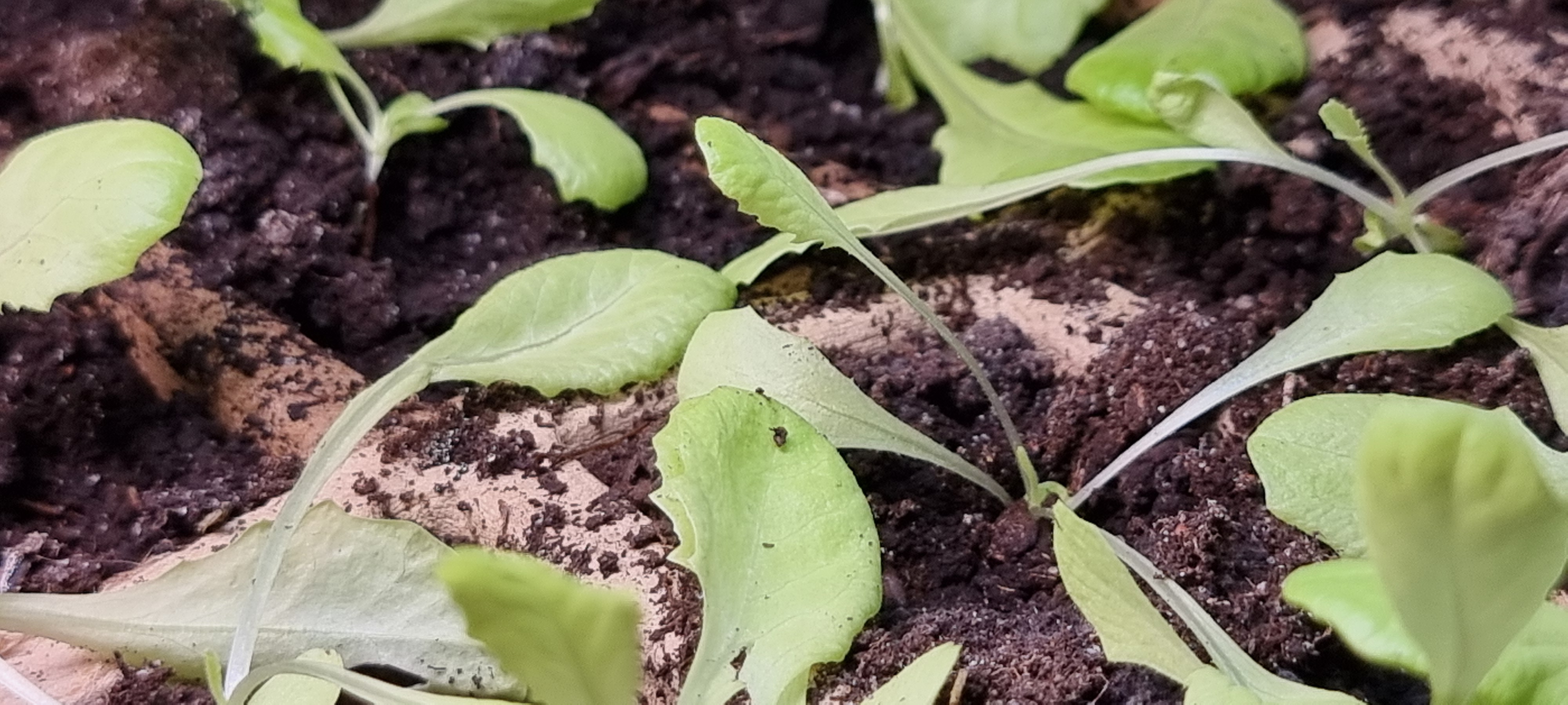 Michalina przeniesiona :)