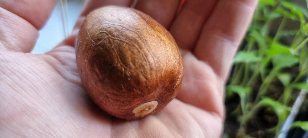 Zmiana wody i TAKA niespodzianka :)