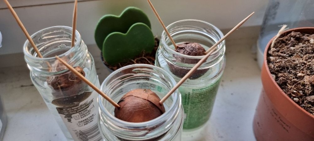 Zmiana wody i TAKA niespodzianka :)