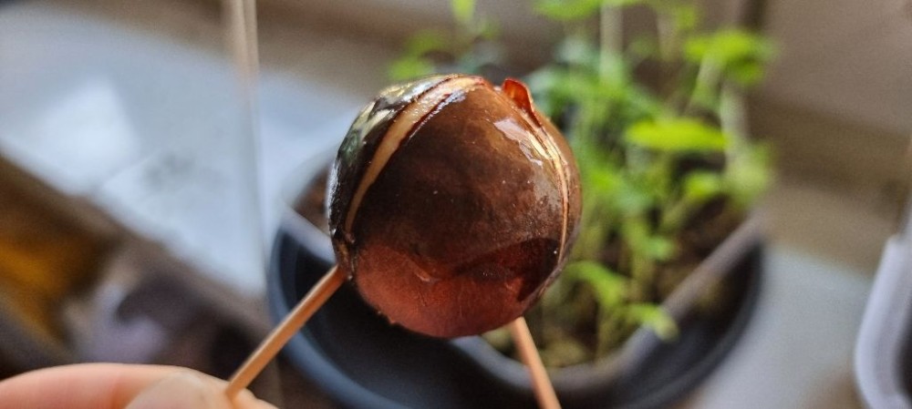 Zmiana wody i TAKA niespodzianka :)